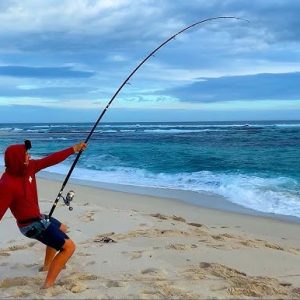 Fishing Tackle, Rods & Reels