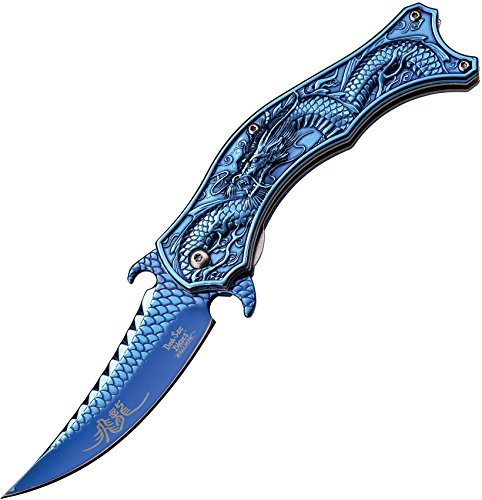 Dark Side Blades DS-A019BL Dragon Folding Knife