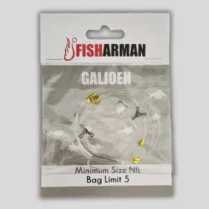 Fisharman Galjoen Trace Rig