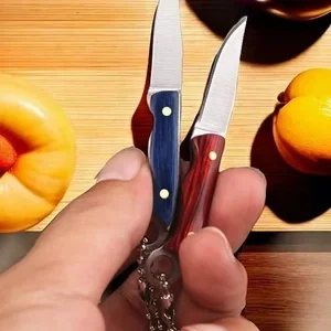 Mini Fixed Blade Keychain Knife with Leather Sheath
